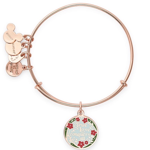 Alex and Ani Disney Parks Collection Aurora Bangle - Picture 2 of 4